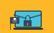 Free malware ransomware scam vector