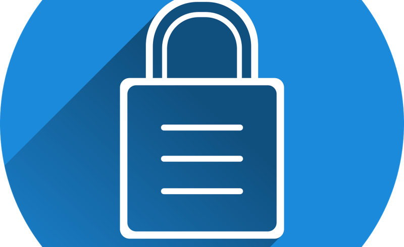 Free castle security locked vector